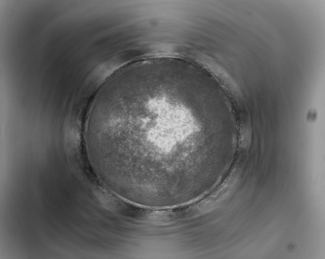 X0000102821161200809151008