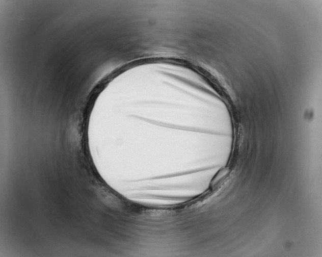 X0000102821163200809151008