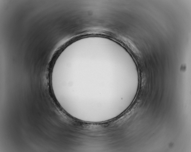 X0000102821164200809151008
