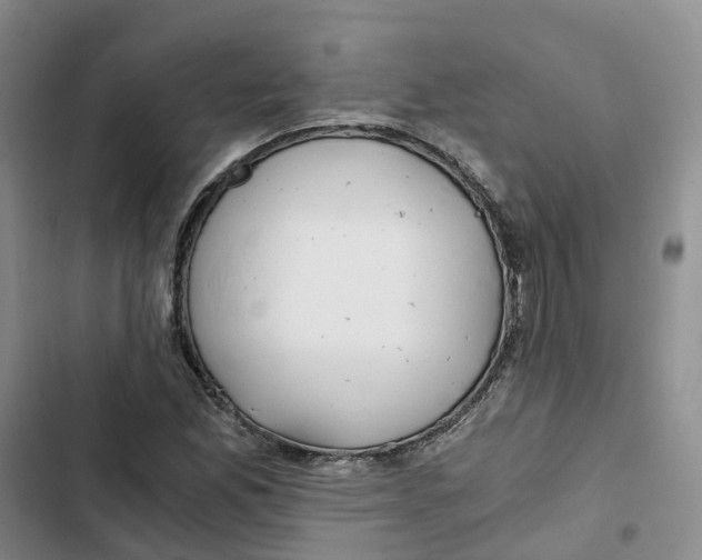 X0000102821165200809151008