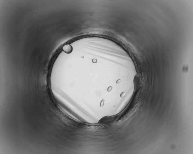X0000102821166200809151008
