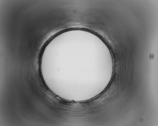 X0000102821167200809151008