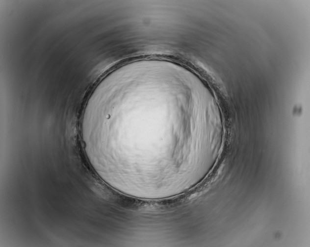 X0000102821169200809151008