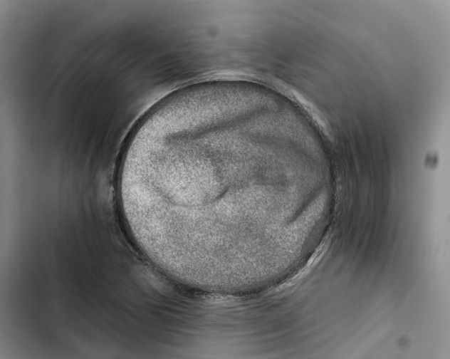 X0000102821170200809151008