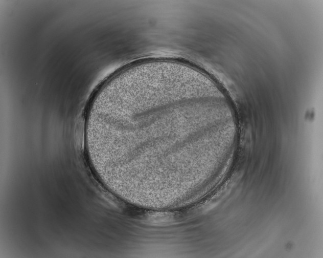 X0000102821171200809151008