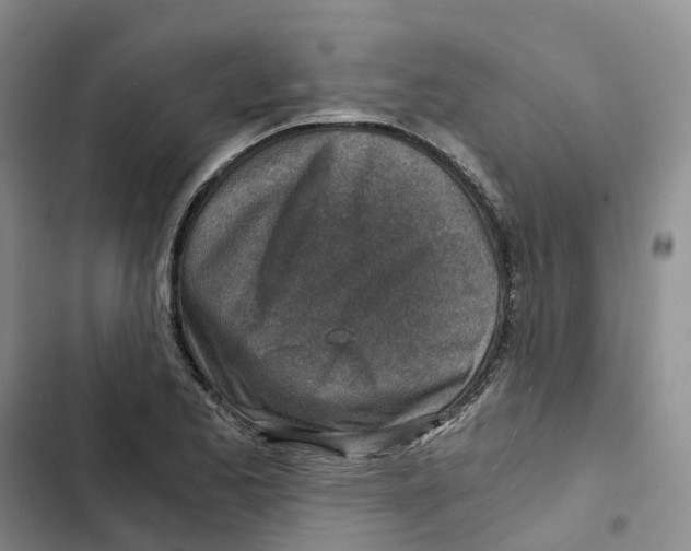 X0000102821173200809151008