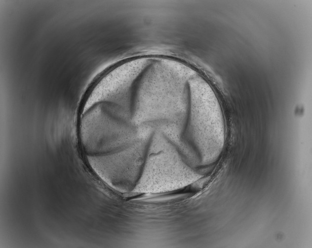 X0000102821174200809151008