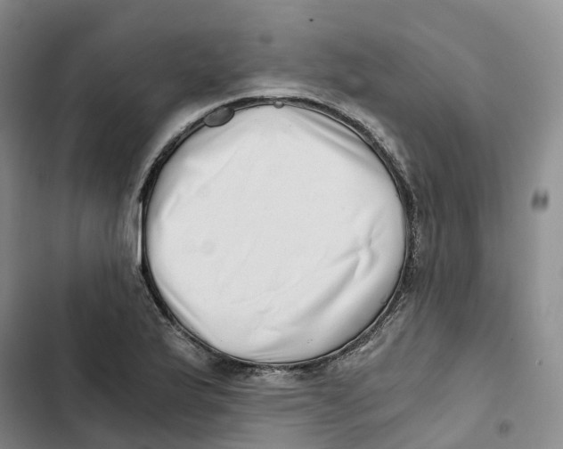 X0000102821175200809151008