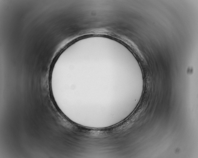 X0000102821176200809151008