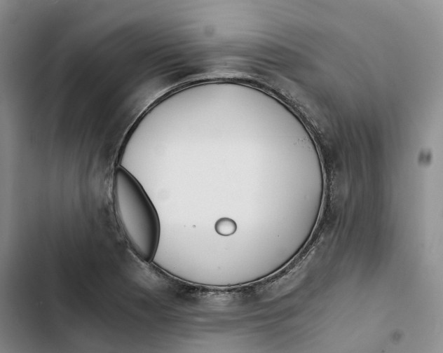 X0000102821177200809151008