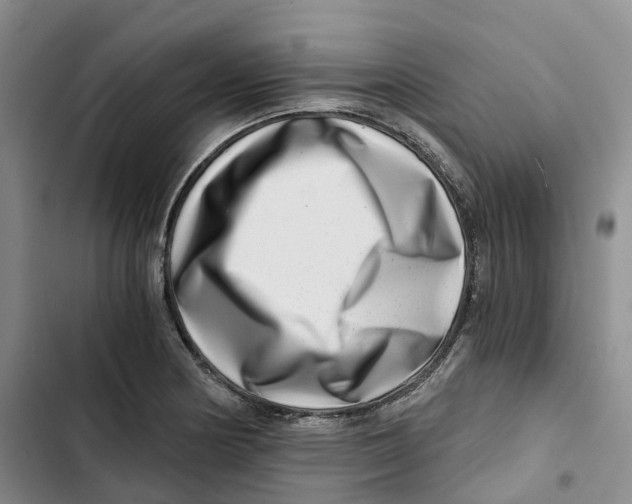 X0000102821178200809151008