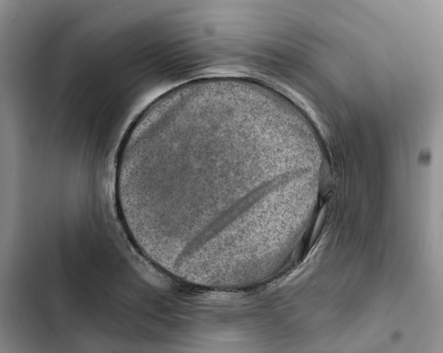 X0000102821179200809151008