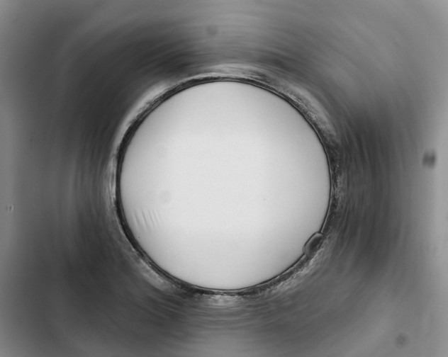 X0000102821180200809151008
