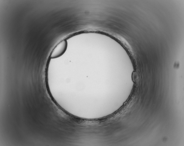 X0000102821183200809151008