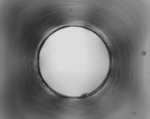 X0000102821184200809151008