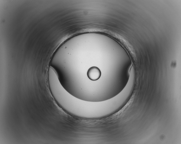 X0000102821185200809151008