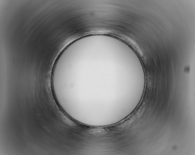 X0000102821186200809151008