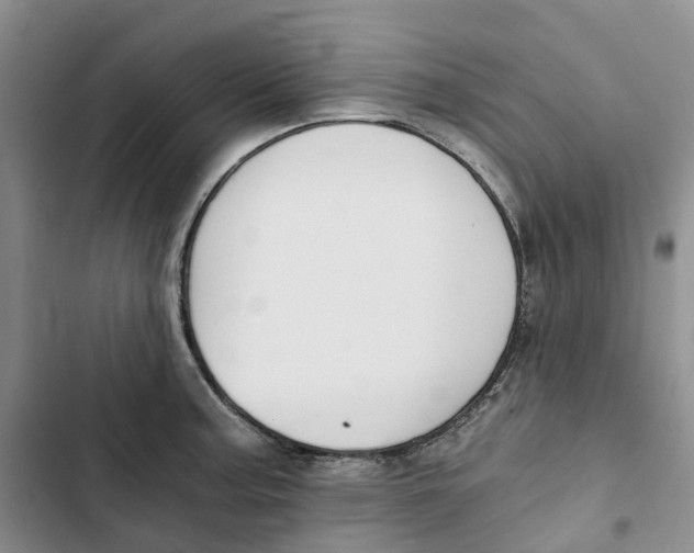 X0000102821187200809151008