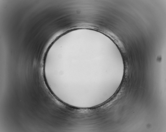 X0000102821188200809151008