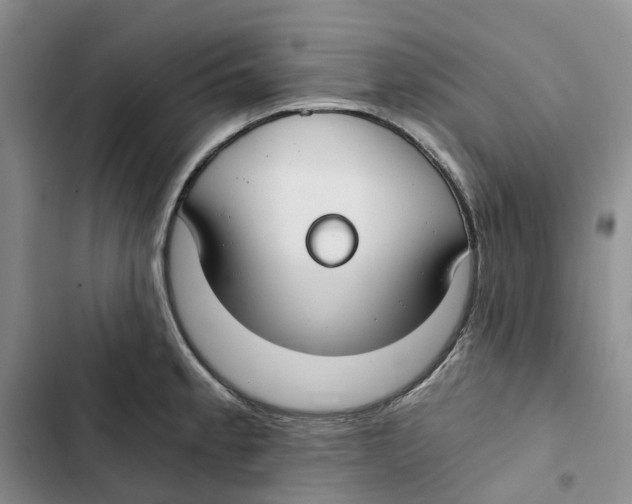 X0000102821189200809151008