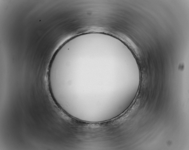 X0000102821190200809151008