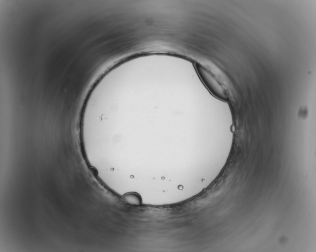 X0000102821191200809151008