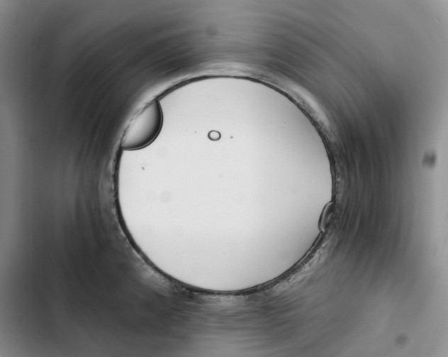X0000102821192200809151008