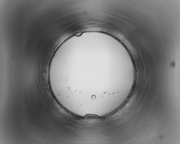 X0000102821193200809151008