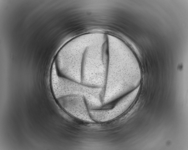 X0000102821194200809151008