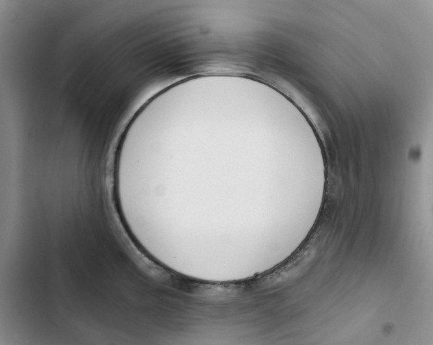 X0000102821195200809151008