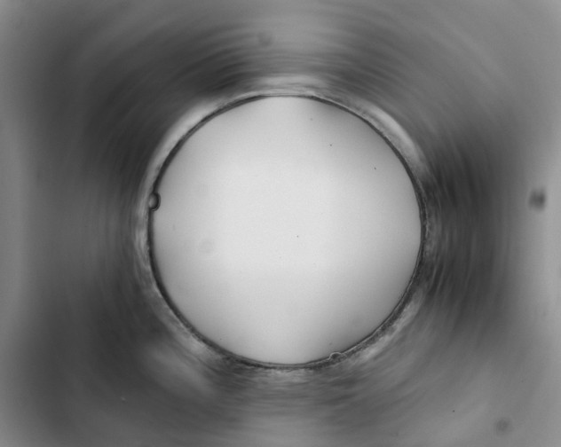 X0000102821196200809151008