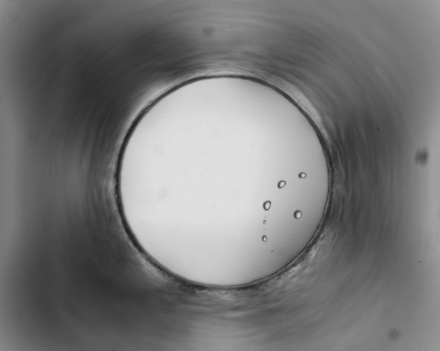 X0000102821197200809151008