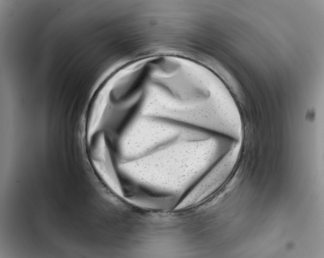 X0000102821198200809151008