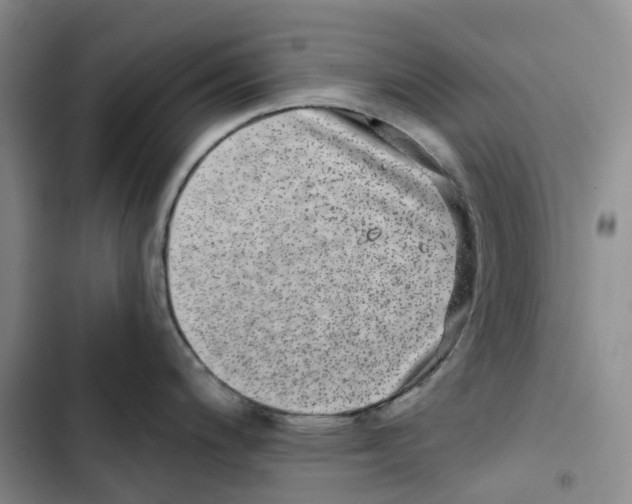 X0000102821200200809151008