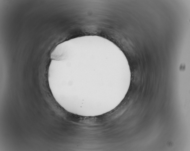 X0000102821201200809151007