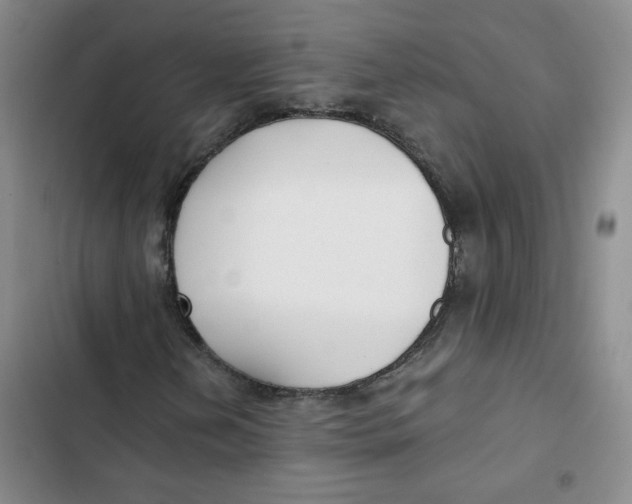 X0000102821202200809151007