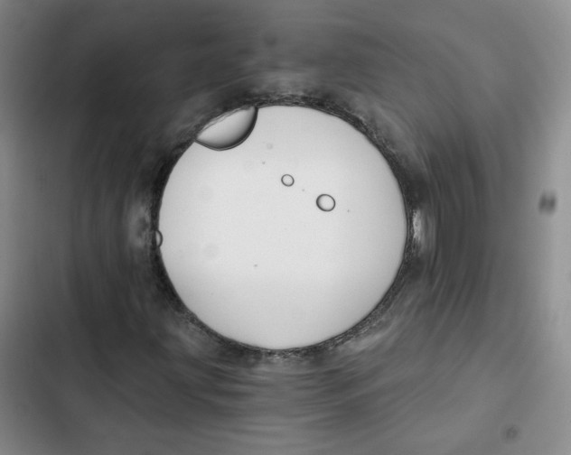 X0000102821203200809151007