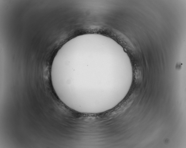 X0000102821204200809151007