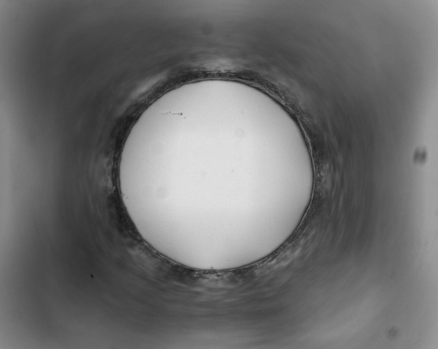 X0000102821205200809151007