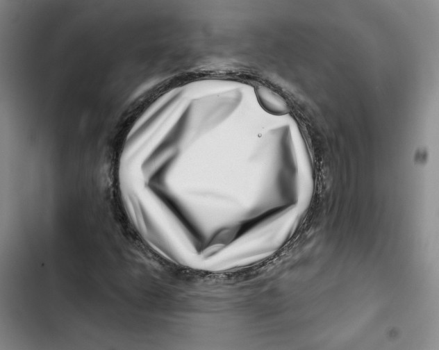 X0000102821206200809151007