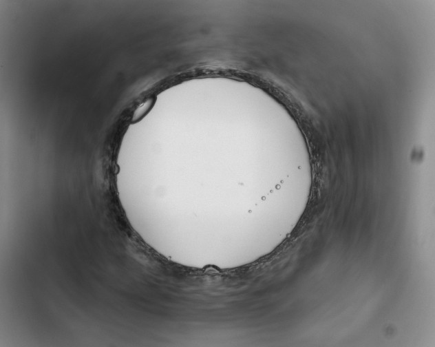 X0000102821207200809151007