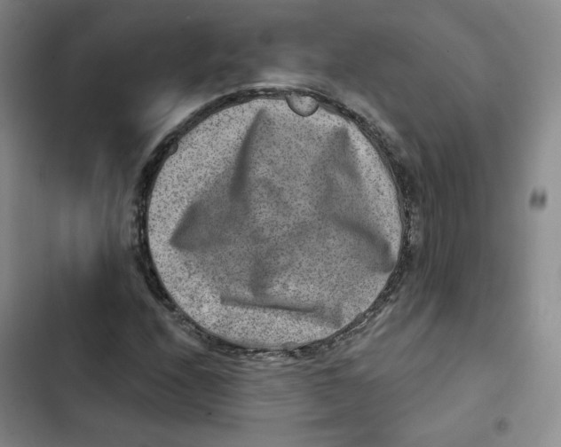 X0000102821208200809151007