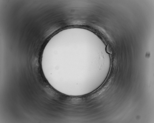 X0000102821209200809151007