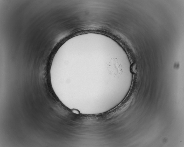 X0000102821210200809151007