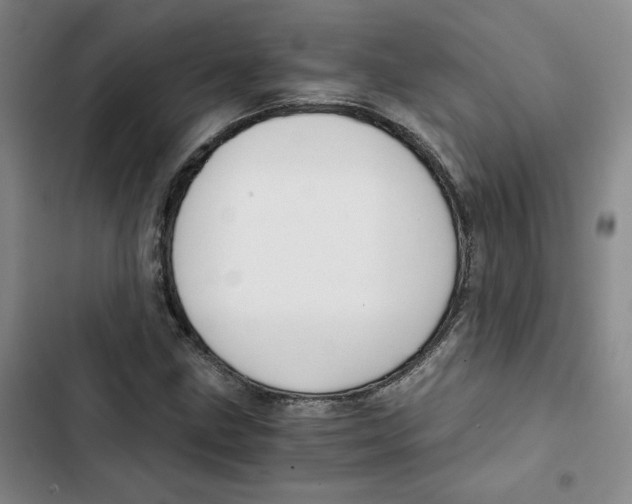X0000102821211200809151007