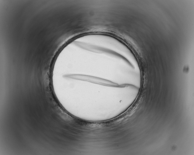X0000102821212200809151007