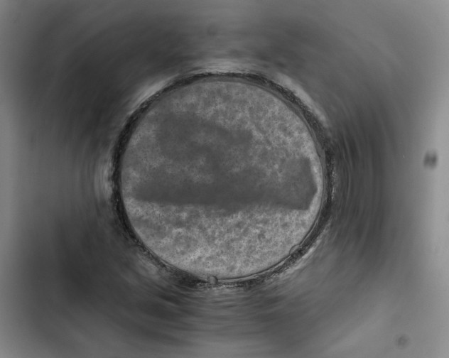 X0000102821213200809151007