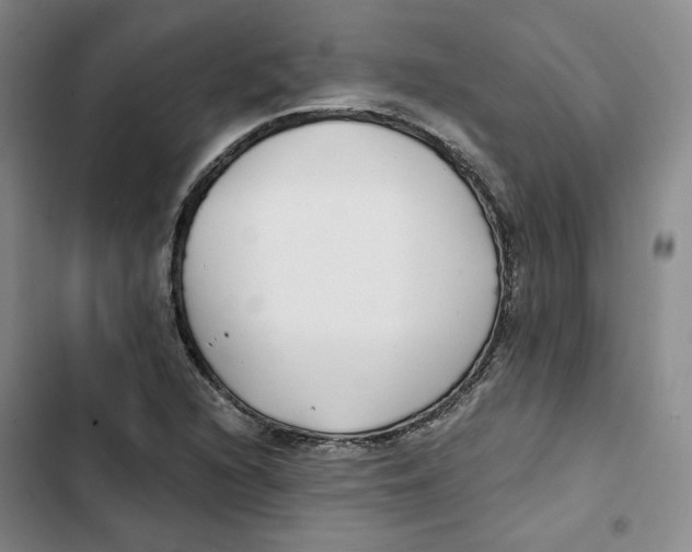 X0000102821216200809151007