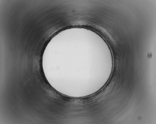 X0000102821217200809151007