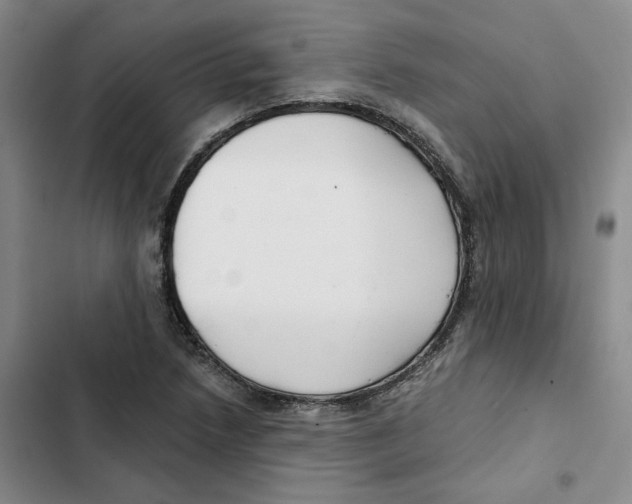 X0000102821218200809151007